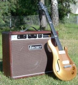 25W, 1x12" Combo in fake Croc, Flaxwood RZZ guitar